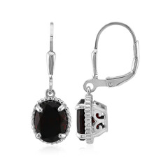 Orecchini in argento con Granato