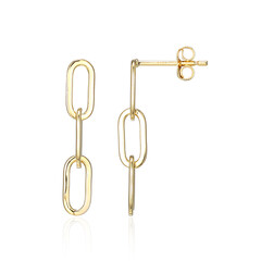 Orecchini in argento