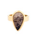 Anello in argento con Legno di Palma Pietrificato