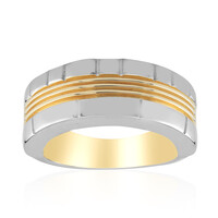 Anello in argento con Zircone (Remy Rotenier)