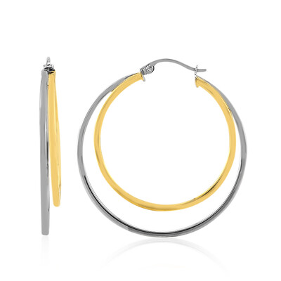 Orecchini in argento
