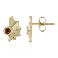 Orecchini in oro con Diamante Rosso I3