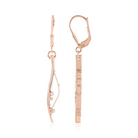Orecchini in argento con Zircone