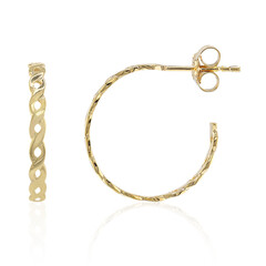 Orecchini in argento