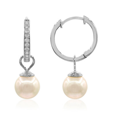 Orecchini in oro con Perla Akoya (TPC)