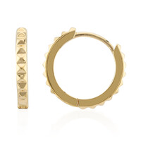 Orecchini in argento
