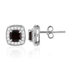 Orecchini in argento con Granato