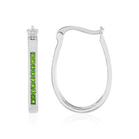 Orecchini in argento con Diopside Russo