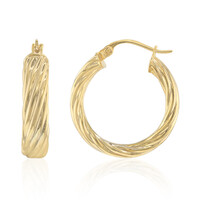 Orecchini in argento