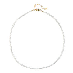 Collana in argento con Zircone