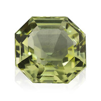 Gemma con Quarzo Ouro Verde