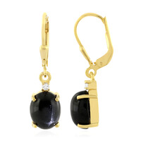 Orecchini in argento con Diopside Stellato d'India