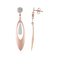 Orecchini in argento