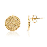 Orecchini in argento