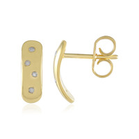 Orecchini in argento con Diamante I2 (I)