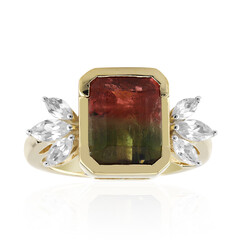 Anello in oro con Tormalina Multicolor Californiana (Remy Rotenier)