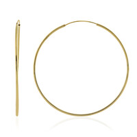 Orecchini in argento