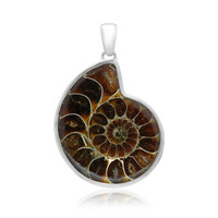 Ciondolo in argento con Ammonite