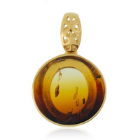 Ciondolo in argento con Ambra Baltica