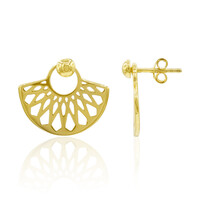 Orecchini in argento