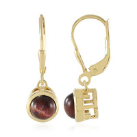 Orecchini in argento con Occhio di Tigre Rosso