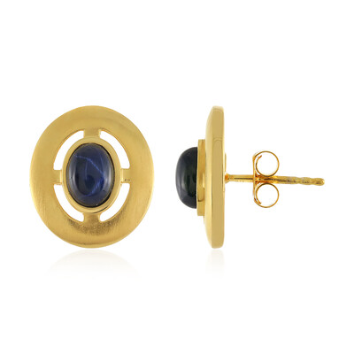 Orecchini in argento con Zaffiro Stellato Blu (MONOSONO COLLECTION)