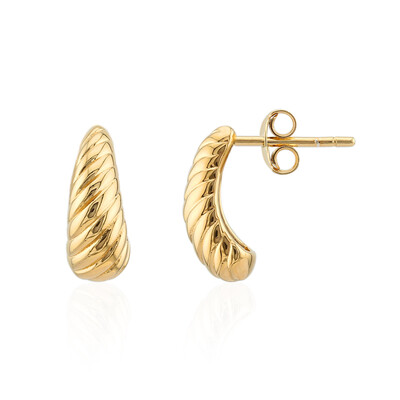 Orecchini in argento
