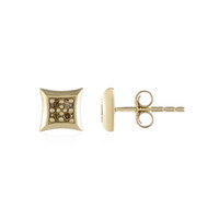 Orecchini in oro con Diamante Cioccolato I2