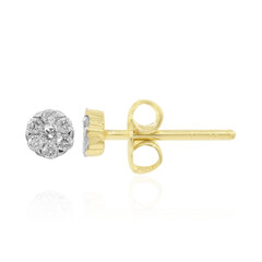 Orecchini in argento con Diamante I1 (G)