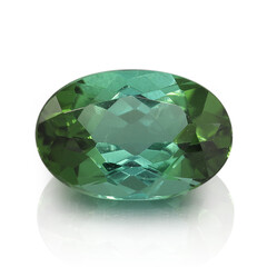 Gemma con Tormalina Verde