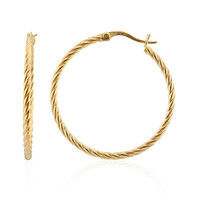 Orecchini in argento