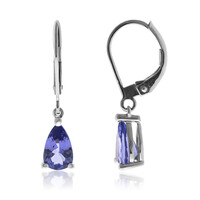 Orecchini in oro con Tanzanite