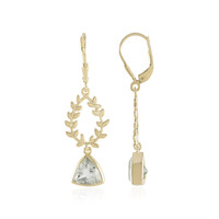 Orecchini in argento con Ametista Verde