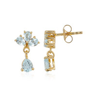 Orecchini in argento con Topazio Blu Cielo