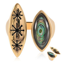 Anello in argento con Conchiglia Abalone (TPC)