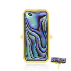 Anello in argento con Conchiglia Abalone