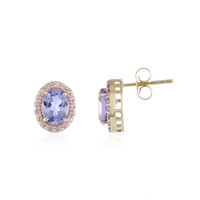 Orecchini in oro con Tanzanite