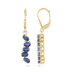 Orecchini in argento con Cianite del Nepal