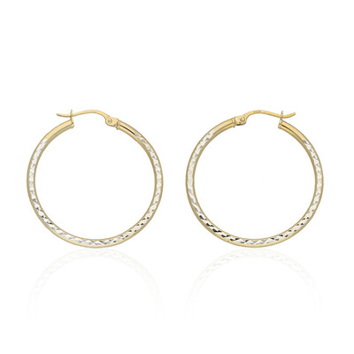 Orecchini in argento