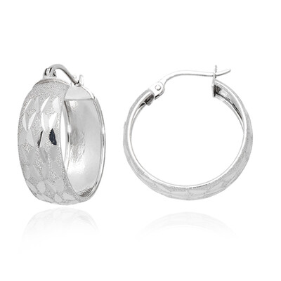 Orecchini in argento