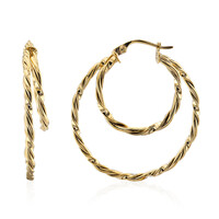 Orecchini in argento