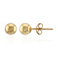Orecchini in argento