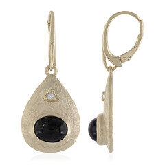 Orecchini placcati in oro con Diopside Stellato Nero