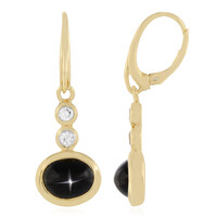 Orecchini in argento con Diopside Stellato d'India