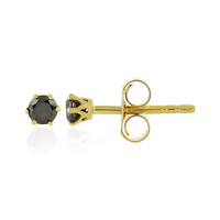 Orecchini in oro con Diamante Nero