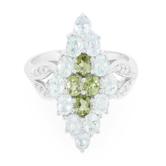 Anello in argento con Tormalina