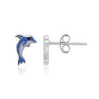 Orecchini in argento
