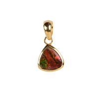 Ciondolo in argento con Ammolite
