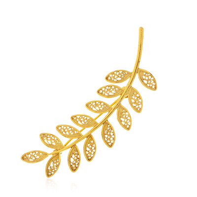 Spilla in argento (Joias do Paraíso)