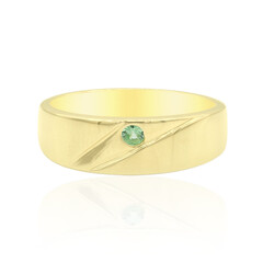 Anello da uomo in argento con Tsavorite